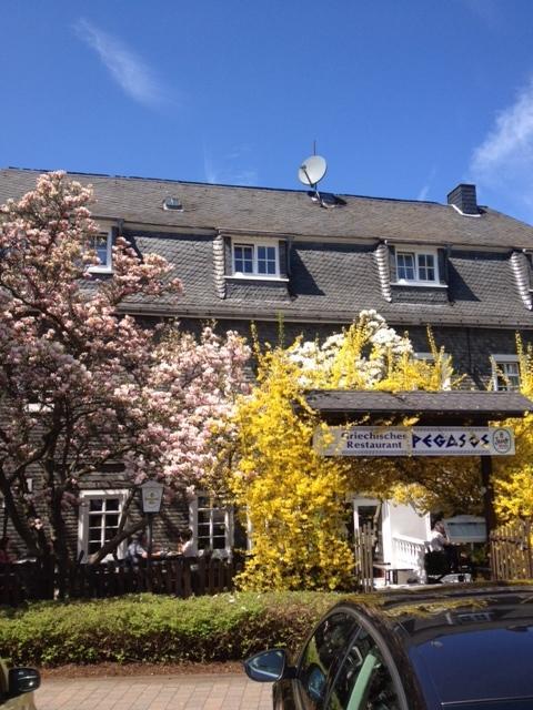 Hotel Friedrich Hachenburg Exteriör bild